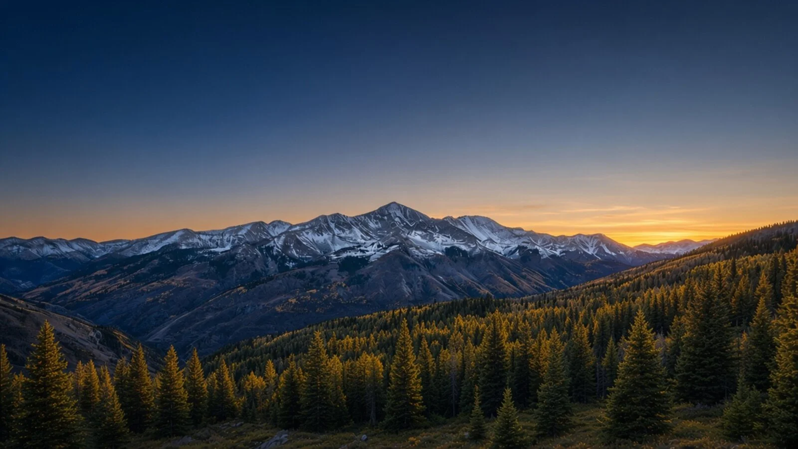 Evergreen forest and Rocky Mountain peaks at golden hour